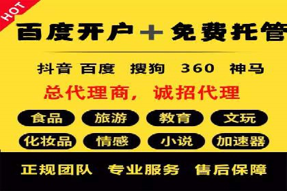 某某SEM公司：一则关于搜索引擎营销的经典成功案例